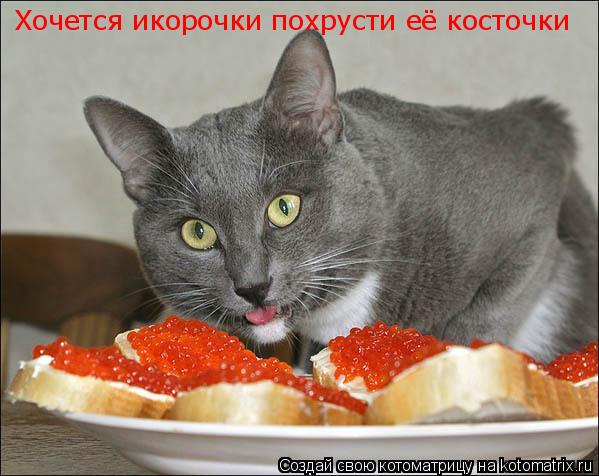 Хочется икорочки похрусти её косточки... Котоматрица: Хочется икорочки похрусти её косточки