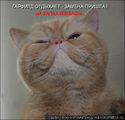 ГАРФИЛД ОТДЫХАЕТ - ЗАМЕНА ПРИШЛА ! нА ЗАПАХ КОЛБАСЫ ...... Котоматрица: ГАРФИЛД ОТДЫХАЕТ - ЗАМЕНА ПРИШЛА ! нА ЗАПАХ КОЛБАСЫ ...