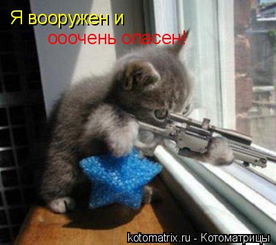 Я вооружен и ооочень опасен!... Котоматрица: Я вооружен и ооочень опасен!