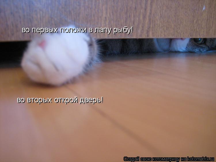 во первых положи в лапу рыбу! во вторых открой дверь!... Котоматрица: во первых положи в лапу рыбу! во вторых открой дверь!