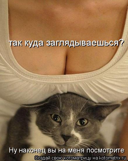 Ну наконец вы на меня посмотрите так куда заглядываешься?... Котоматрица: Ну наконец вы на меня посмотрите так куда заглядываешься?