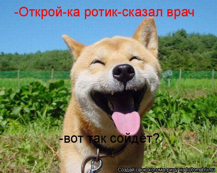 -Открой-ка ротик-сказал врач -вот так сойдёт?... Котоматрица: -Открой-ка ротик-сказал врач -вот так сойдёт?