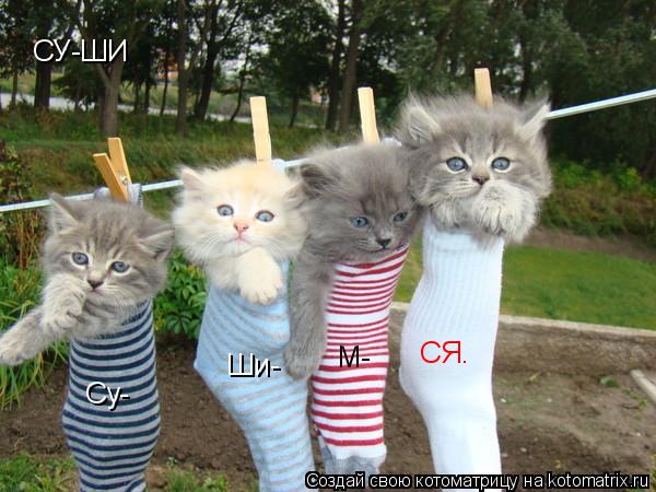 СУ-ШИ Су- Ши- М- СЯ.... Котоматрица: СУ-ШИ Су- Ши- М- СЯ.