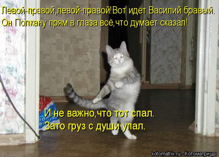 Левой-правой,левой-правой!Вот идёт Василий бравый. Он Полкану прям в глаза всё,что думает сказал! И н... Котоматрица: Левой-правой,левой-правой!Вот идёт Василий бравый. Он Полкану прям в глаза всё,что думает сказал! И не важно,что тот спал. Зато груз с души уп