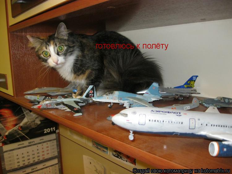 готовлюсь к полёту... Котоматрица: готовлюсь к полёту