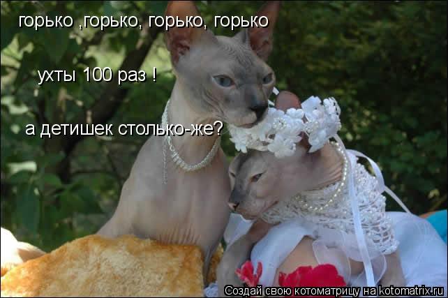 горько ,горько, горько, горько ухты 100 раз ! а детишек столько-же?... Котоматрица: горько ,горько, горько, горько ухты 100 раз ! а детишек столько-же?