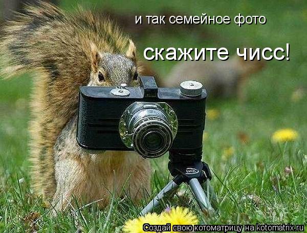 и так семейное фото скажите чисс!... Котоматрица: и так семейное фото скажите чисс!