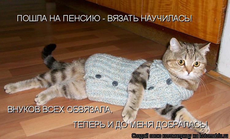 ПОШЛА НА ПЕНСИЮ - ВЯЗАТЬ НАУЧИЛАСЬ! ВНУКОВ ВСЕХ ОБВЯЗАЛА, ТЕПЕРЬ И ДО МЕНЯ ДОБРАЛАСЬ!... Котоматрица: ПОШЛА НА ПЕНСИЮ - ВЯЗАТЬ НАУЧИЛАСЬ! ВНУКОВ ВСЕХ ОБВЯЗАЛА, ТЕПЕРЬ И ДО МЕНЯ ДОБРАЛАСЬ!