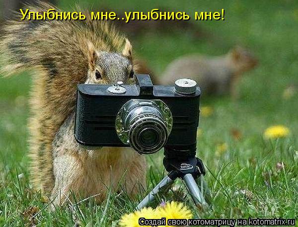 Улыбнись мне..улыбнись мне!... Котоматрица: Улыбнись мне..улыбнись мне!