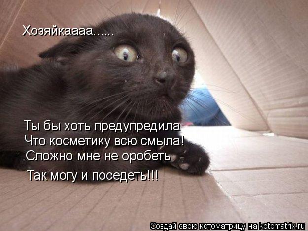 Хозяйкаааа...... Ты бы хоть предупредила Что косметику всю смыла! Так могу и поседеть!!! Сложно мне... Котоматрица: Хозяйкаааа...... Ты бы хоть предупредила Что косметику всю смыла! Так могу и поседеть!!! Сложно мне не оробеть