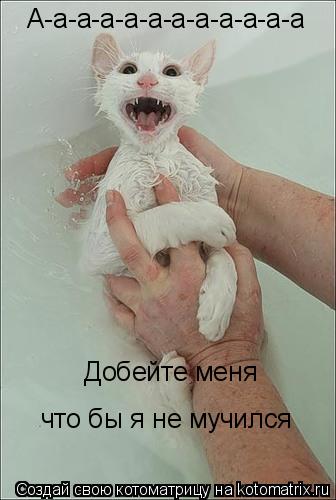 А-а-а-а-а-а-а-а-а-а-а-а Добейте меня что бы я не мучился... Котоматрица: А-а-а-а-а-а-а-а-а-а-а-а Добейте меня что бы я не мучился