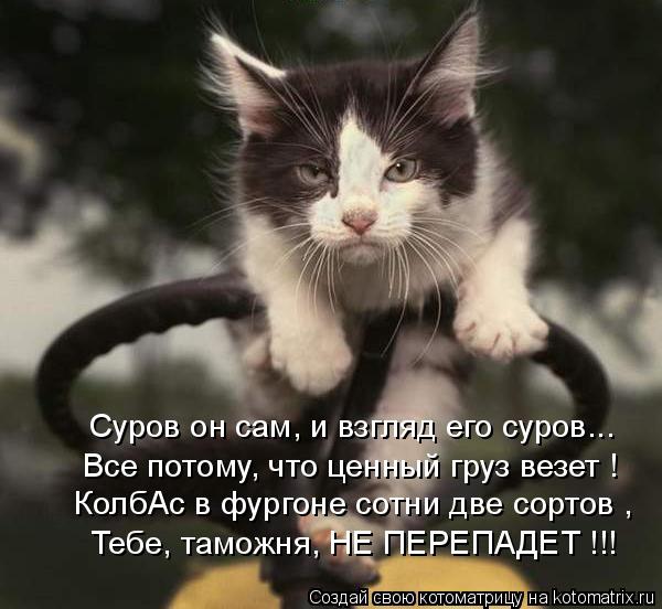 Суров он сам, и взгляд его суров... Все потому, что ценный груз везет ! Тебе, таможня, НЕ ПЕРЕПАДЕТ !... Котоматрица: Суров он сам, и взгляд его суров... Все потому, что ценный груз везет ! Тебе, таможня, НЕ ПЕРЕПАДЕТ !!! КолбАс в фургоне сотни две сортов ,
