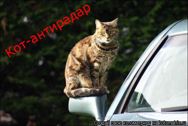 Кот-антирадар... Котоматрица: Кот-антирадар