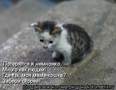 Потерялся я немножко. Много как людей! Где ты, моя мама-кошка? Забери скорей!... Котоматрица: Потерялся я немножко. Много как людей! Где ты, моя мама-кошка? Забери скорей!