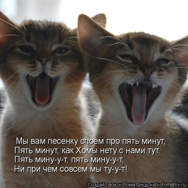 Мы вам песенку споем про пять минут, Пять минут, как Хомы нету с нами тут. Пять мину-у-т, пять мину-у... Котоматрица: Мы вам песенку споем про пять минут, Пять минут, как Хомы нету с нами тут. Пять мину-у-т, пять мину-у-т, Ни при чем совсем мы ту-у-т!