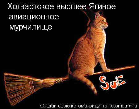 Хогвартское высшее Ягиное авиационное мурчилище... Котоматрица: Хогвартское высшее Ягиное авиационное мурчилище