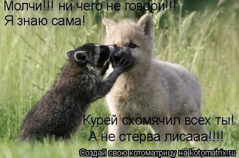Молчи!!! ни чего не говори!!! Я знаю сама! Курей схомячил всех ты! А не стерва лисааа!!!!... Котоматрица: Молчи!!! ни чего не говори!!! Я знаю сама! Курей схомячил всех ты! А не стерва лисааа!!!!