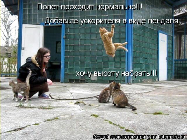 Полет проходит нормально!!! Добавьте ускорителя в виде пендаля, хочу высоту набрать!!!... Котоматрица: Полет проходит нормально!!! Добавьте ускорителя в виде пендаля, хочу высоту набрать!!!