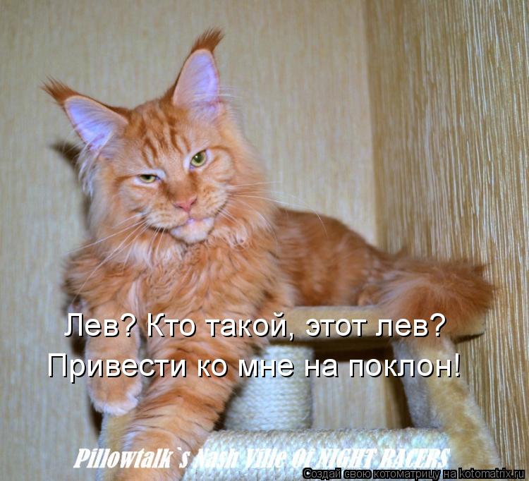 Лев? Кто такой, этот лев? Привести ко мне на поклон!... Котоматрица: Лев? Кто такой, этот лев? Привести ко мне на поклон!
