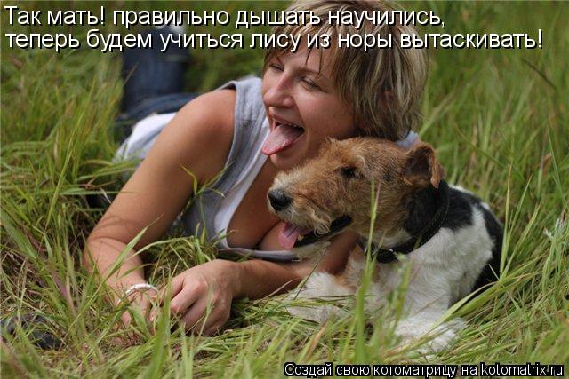 Так мать! правильно дышать научились, теперь будем учиться лису из норы вытаскивать!... Котоматрица: Так мать! правильно дышать научились, теперь будем учиться лису из норы вытаскивать!
