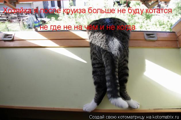 Хозяйка я после круиза больше не буду котатся не где не на чём и не когда... Котоматрица: Хозяйка я после круиза больше не буду котатся не где не на чём и не когда
