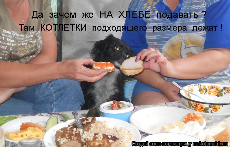 Там КОТЛЕТКИ подходящего размера лежат ! Да зачем же НА ХЛЕБЕ подавать ?... Котоматрица: Там КОТЛЕТКИ подходящего размера лежат ! Да зачем же НА ХЛЕБЕ подавать ?