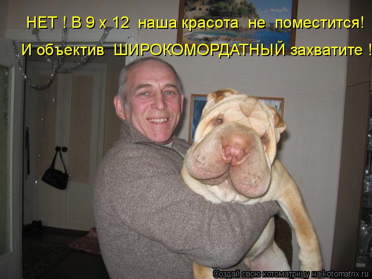 НЕТ ! В 9 х 12 наша красота не поместится! И объектив ШИРОКОМОРДАТНЫЙ захватите !... Котоматрица: НЕТ ! В 9 х 12 наша красота не поместится! И объектив ШИРОКОМОРДАТНЫЙ захватите !