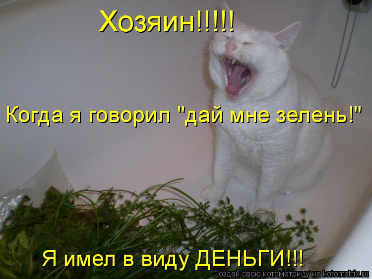 Хозяин!!!!! Когда я говорил "дай мне зелень!" Я имел в виду ДЕНЬГИ!!!... Котоматрица: Хозяин!!!!! Когда я говорил "дай мне зелень!" Я имел в виду ДЕНЬГИ!!!