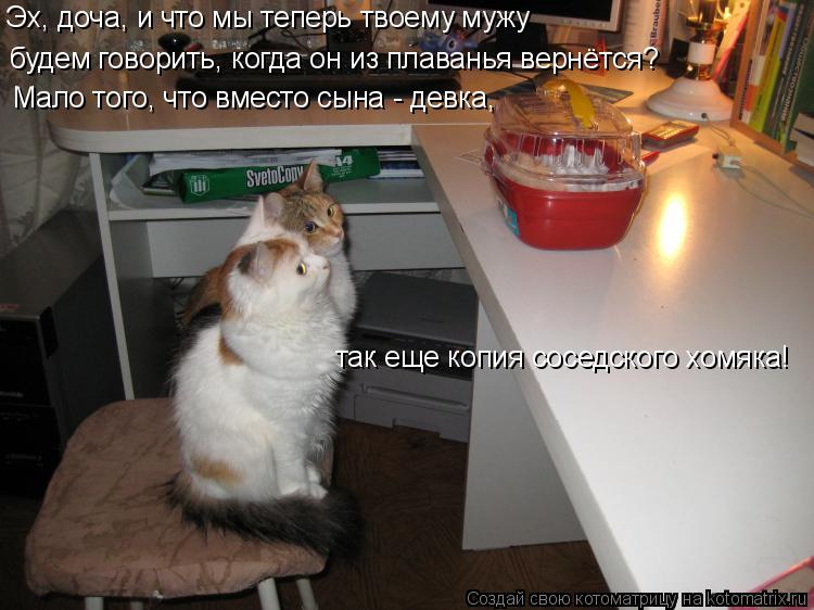 Эх, доча, и что мы теперь твоему мужу будем говорить, когда он из плаванья вернётся? Мало того, что ... Котоматрица: Эх, доча, и что мы теперь твоему мужу будем говорить, когда он из плаванья вернётся? Мало того, что вместо сына - девка, так еще копия соседско