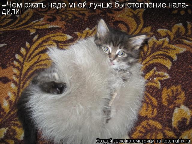 --Чем ржать надо мной,лучше бы отопление нала- дили!... Котоматрица: --Чем ржать надо мной,лучше бы отопление нала- дили!
