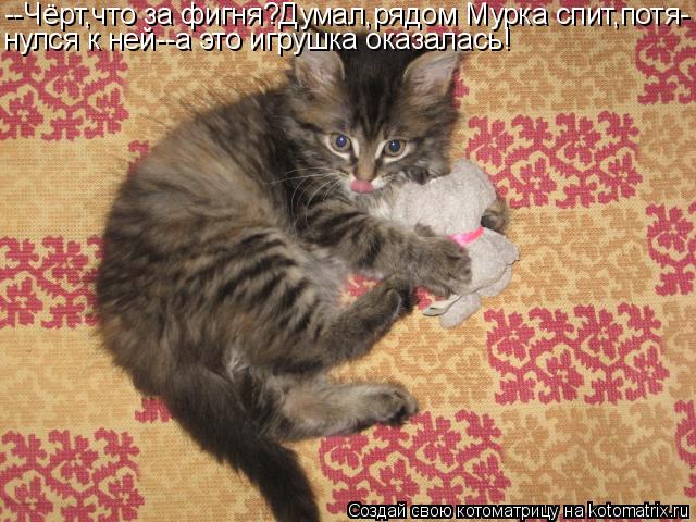 --Чёрт,что за фигня?Думал,рядом Мурка спит,потя- нулся к ней--а это игрушка оказалась!... Котоматрица: --Чёрт,что за фигня?Думал,рядом Мурка спит,потя- нулся к ней--а это игрушка оказалась!
