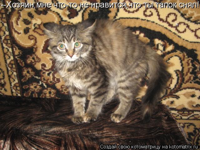 --Хозяин,мне что-то не нравится,что ты тапок снял!... Котоматрица: --Хозяин,мне что-то не нравится,что ты тапок снял!