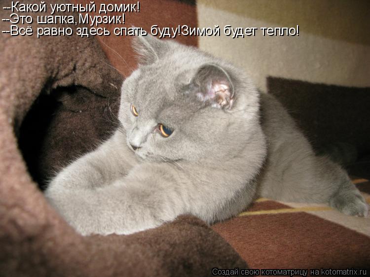 --Какой уютный домик! --Это шапка,Мурзик! --Всё равно здесь спать буду!Зимой будет тепло!... Котоматрица: --Какой уютный домик! --Это шапка,Мурзик! --Всё равно здесь спать буду!Зимой будет тепло!