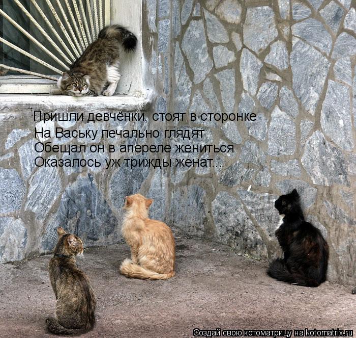 Пришли девчёнки, стоят в сторонке Пришли девчёнки, стоят в сторонке На Ваську печально глядят Обещал ... Котоматрица: Пришли девчёнки, стоят в сторонке Пришли девчёнки, стоят в сторонке На Ваську печально глядят Обещал он в апереле жениться Оказалось уж три