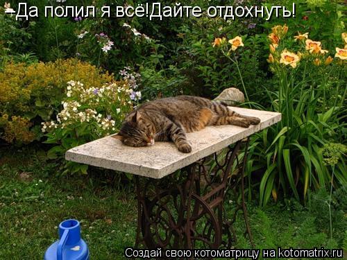 --Да полил я всё!Дайте отдохнуть!... Котоматрица: --Да полил я всё!Дайте отдохнуть!