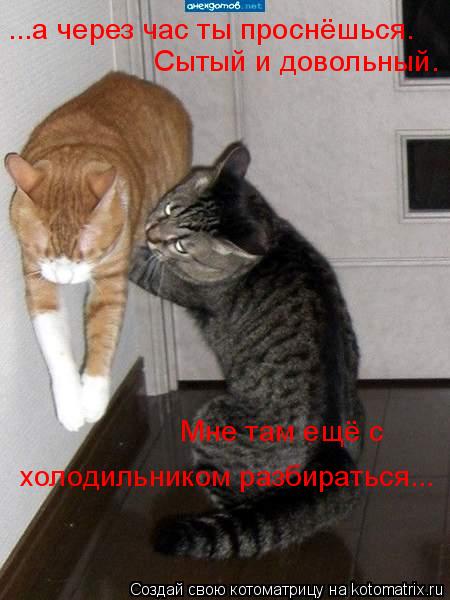 ...а через час ты проснёшься. Сытый и довольный. Мне там ещё с холодильником разбираться...... Котоматрица: ...а через час ты проснёшься. Сытый и довольный. Мне там ещё с холодильником разбираться...