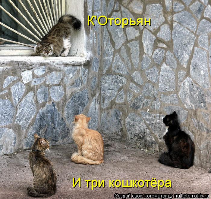 И три кошкотёра К'Оторьян... Котоматрица: И три кошкотёра К'Оторьян