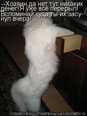 --Хозяин,да нет тут никаких денег!Я уже всё перерыл! Вспоминай,куда ты их засу- нул вчера!... Котоматрица: --Хозяин,да нет тут никаких денег!Я уже всё перерыл! Вспоминай,куда ты их засу- нул вчера!