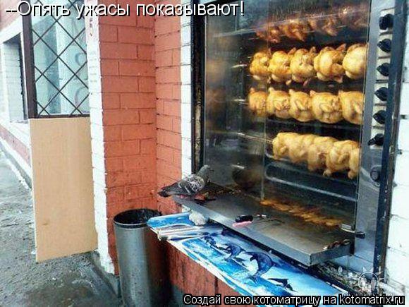 --Опять ужасы показывают!... Котоматрица: --Опять ужасы показывают!