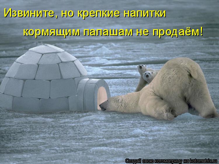 Извините, но крепкие напитки кормящим папашам не продаём!... Котоматрица: Извините, но крепкие напитки кормящим папашам не продаём!