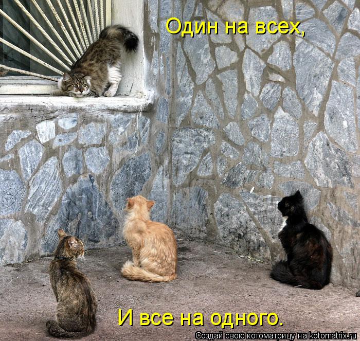 Один на всех, И все на одного.... Котоматрица: Один на всех, И все на одного.