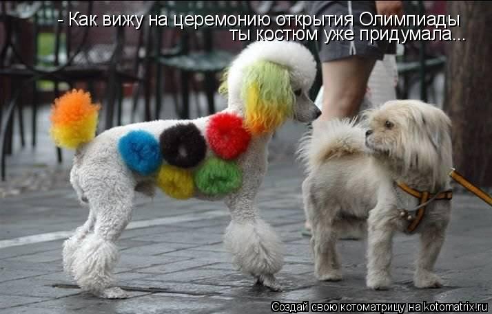 - Как вижу на церемонию открытия Олимпиады ты костюм уже придумала...... Котоматрица: - Как вижу на церемонию открытия Олимпиады ты костюм уже придумала...