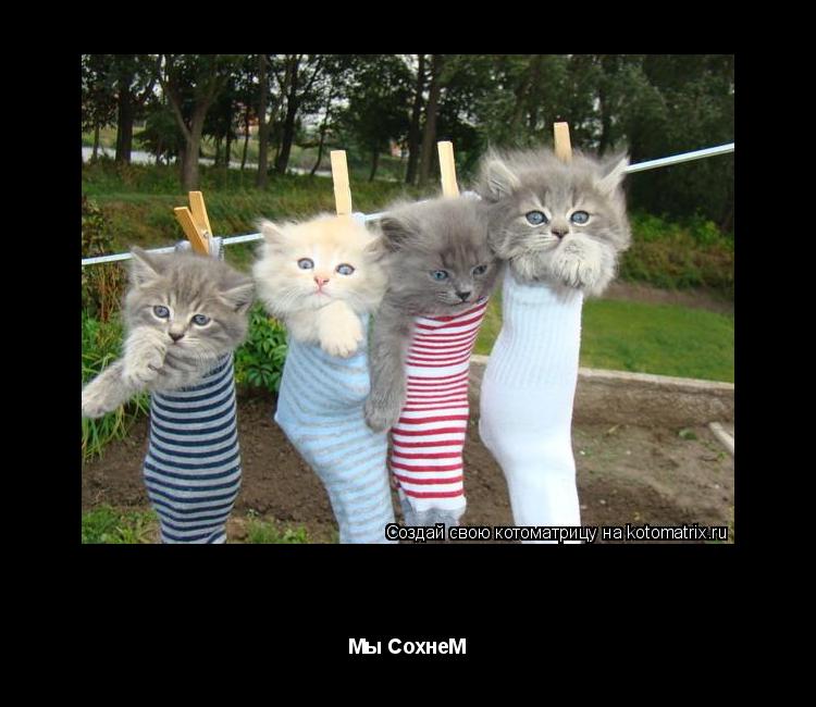 )))))))))))))))))))))) Мы СохнеМ... Котоматрица: )))))))))))))))))))))) Мы СохнеМ