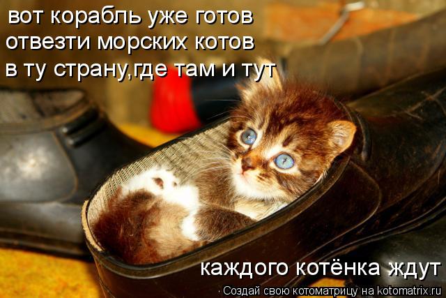 вот корабль уже готов отвезти морских котов в ту страну,где там и тут каждого котёнка ждут... Котоматрица: вот корабль уже готов отвезти морских котов в ту страну,где там и тут каждого котёнка ждут