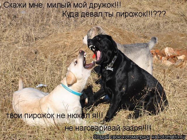 Скажи мне, милый мой дружок!!! Куда девал ты пирожок!!!??? твои пирожок не нюхал я!!! не наговаривай ... Котоматрица: Скажи мне, милый мой дружок!!! Куда девал ты пирожок!!!??? твои пирожок не нюхал я!!! не наговаривай зазря!!!!