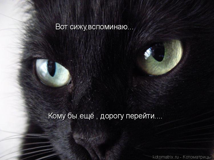 Вот сижу,вспоминаю... Кому бы ещё , дорогу перейти....... Котоматрица: Вот сижу,вспоминаю... Кому бы ещё , дорогу перейти....