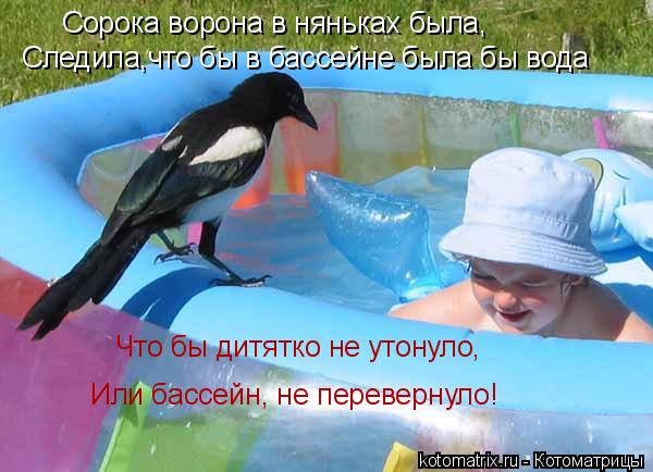 Сорока ворона в няньках была, Что бы дитятко не утонуло, Или бассейн, не перевернуло! Следила,что бы... Котоматрица: Сорока ворона в няньках была, Что бы дитятко не утонуло, Или бассейн, не перевернуло! Следила,что бы в бассейне была бы вода