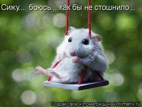 Сижу.... боюсь....как бы не стошнило...... Котоматрица: Сижу.... боюсь....как бы не стошнило...