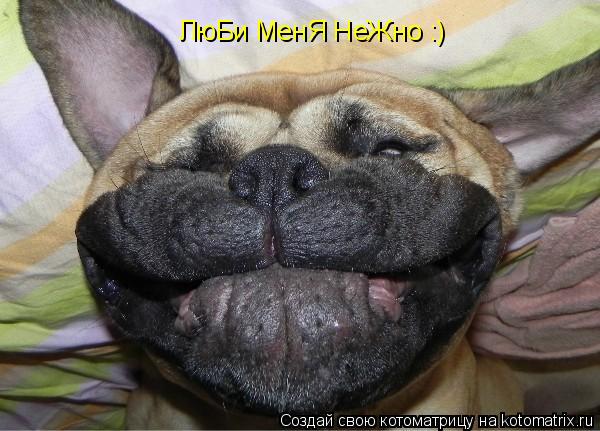 ЛюБи МенЯ НеЖно :)... Котоматрица: ЛюБи МенЯ НеЖно :)