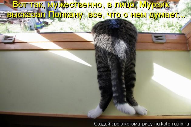 Вот так, мужественно, в лицо, Мурзик высказал Полкану все, что о нем думает...... Котоматрица: Вот так, мужественно, в лицо, Мурзик высказал Полкану все, что о нем думает...